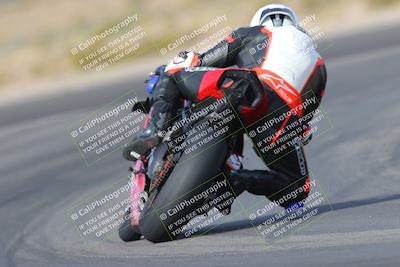 media/Mar-12-2023-SoCal Trackdays (Sun) [[d4c8249724]]/Turn 11 Backside (10am)/